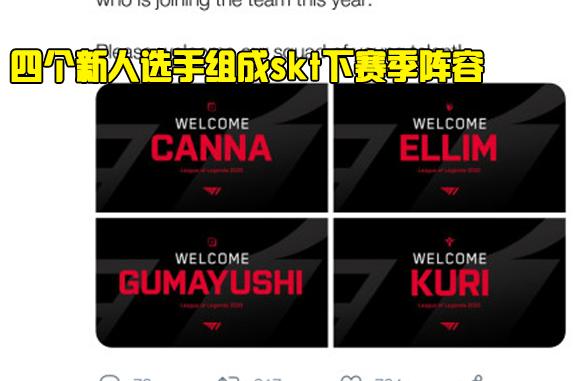 多样性和成